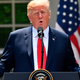 Illustration for article titled Sorry, Drumpf, But Your Hands Are Simply Too Small To Ever Fit Around Your Massive, Girthy Penis!em/em